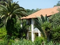Petros studios